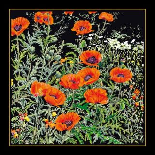 Borduurpakket Oranje Papavers Black Collection - Thea Gouverneur