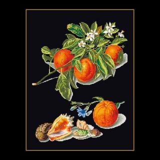 Borduurpakket Sinaasappels en Mandarijnen Black Collection - Thea Gouverneur