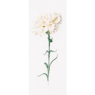 Borduurpakket Witte Anjer (Carnation White) Linnen - Thea Gouverneur