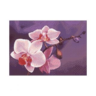 Diamond Painting Branch of Orchids - Wizardi