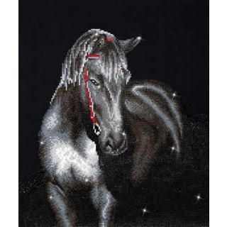Diamond Dotz - Midnight Stallion