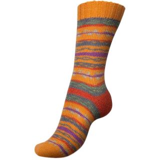 Regia sokkenwol Pairfect by Arne & Carlos - Evje 03827