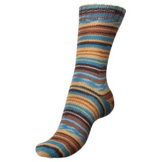 Regia sokkenwol Spring Fling Color 4-draads 03811
