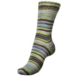 Regia sokkenwol Spring Fling Color 4-draads 03815