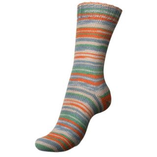Regia sokkenwol Spring Fling Color 4-draads 03816